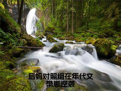 全章节完整《后妈对照组在年代文带崽逆袭》全文阅读《沈明珠》