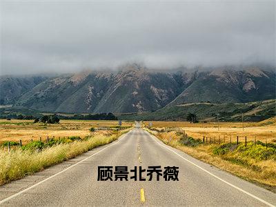 顾景北乔薇（乔薇顾景北）全文免费阅读无弹窗大结局_顾景北乔薇小说免费最新章节列表_笔趣阁