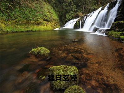 狸月玄泽（玄泽狸月）全文免费阅读无弹窗大结局_玄泽狸月最新章节列表_笔趣阁