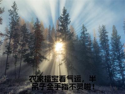 裴海棠小说在线阅读（农家福宝看气运，半吊子金手指不灵啦！）全文免费阅读无弹窗大结局_裴海棠小说免费最新章节列表