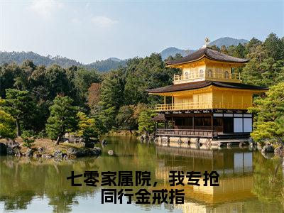 七零家属院，我专抢同行金戒指（陆野柒明月）小说免费在线阅读_七零家属院，我专抢同行金戒指全本免费小说阅读（陆野柒明月）