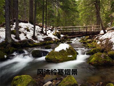 风沐怜寒熠景（风沐怜寒熠景）小说全文大结局-（风沐怜寒熠景）全章节完整版在线阅读