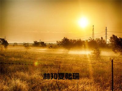 林知夏陆琛全文免费阅读大结局_林知夏陆琛已完结全集林知夏陆琛大结局小说