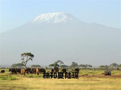 主角是林知夏陆琛的小说（林知夏陆琛）-（林知夏陆琛）林知夏陆琛全文免费阅读无弹窗大结局笔趣阁