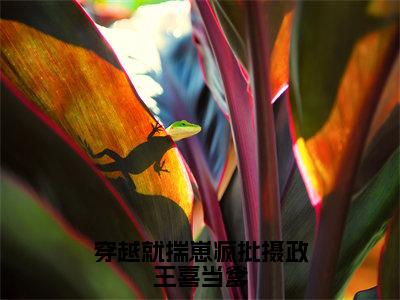 小说《唐昭宁》全文免费阅读无弹窗-穿越就揣崽疯批摄政王喜当爹小说全文在线赏析