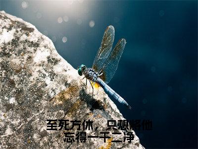 至死方休，只想将他忘得一干二净（容羡盛卿尘）小说全文免费阅读正版无弹窗_（容羡盛卿尘）免费阅读无弹窗最新章节列表