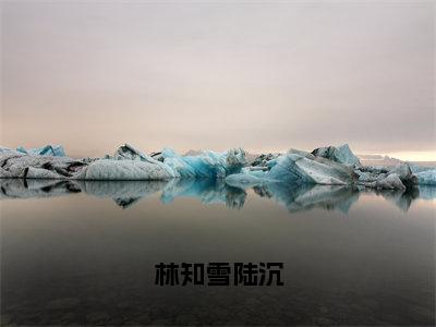 林知雪陆沉免费阅读无弹窗大结局，林知雪陆沉最新章节