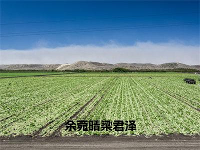 余菀晴梁君泽（余菀晴梁君泽）全文免费阅读无弹窗大结局-余菀晴梁君泽最新章节列表免费阅读