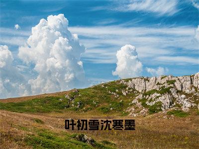 叶初雪沈寒墨今日更新最新章节叶初雪沈寒墨在线阅读