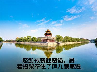 怒卸戎装赴凰途，暴君招架不住了凤九颜萧煜全文免费阅读无弹窗大结局-萧煜凤九颜无弹窗阅读