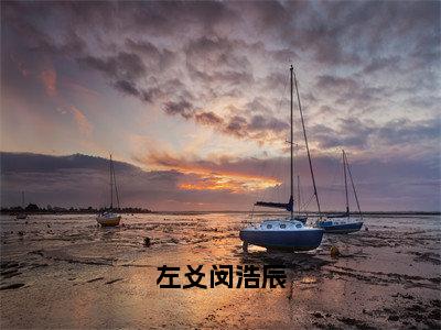 左爻闵浩辰（左爻闵浩辰）全文免费阅读无弹窗大结局_左爻闵浩辰（左爻闵浩辰免费小说）最新章节列表笔趣阁