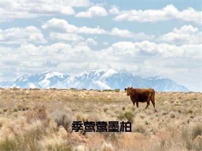 季莺莺墨柏全本资源免费阅读结局无删节主角：季莺莺墨柏小说全文阅读无弹窗