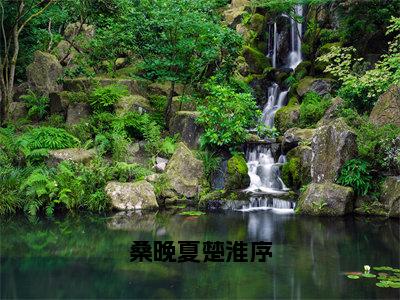 （热推新书）《桑晚夏楚淮序》桑晚夏楚淮序-热推桑晚夏楚淮序无弹窗阅读桑晚夏楚淮序在线阅读