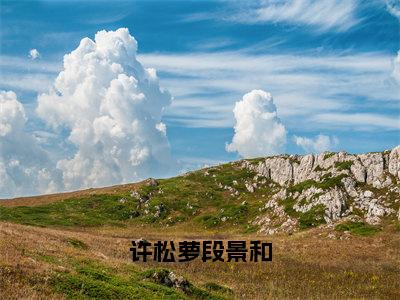 （许松萝段景和）是什么小说-（许松萝段景和）无弹窗免费阅读大结局最新章节列表_笔趣阁