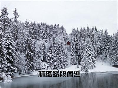 林蕴窈段闻延（林蕴窈段闻延）小说全文无删减版完整版_林蕴窈段闻延最新章节列表_笔趣阁