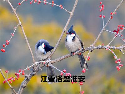 江雪洛盛淮安小说全文免费阅读_江雪洛盛淮安（江雪洛盛淮安）最新章节列表在线阅读