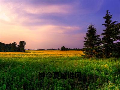 钟今夏盛淮风（钟今夏盛淮风）小说免费阅读_钟今夏盛淮风精选小说全文阅读（钟今夏盛淮风）