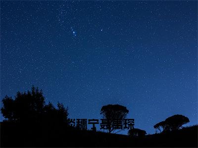 谈穗宁聂禹琛免费阅读无弹窗大结局，谈穗宁聂禹琛（最新全章节）全文阅读免费阅读-笔趣阁