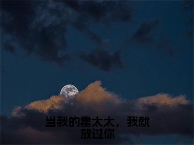 当我的霍太太，我就放过你（陆暖霍司铭）全文免费阅读无弹窗大结局_陆暖霍司铭_笔趣阁