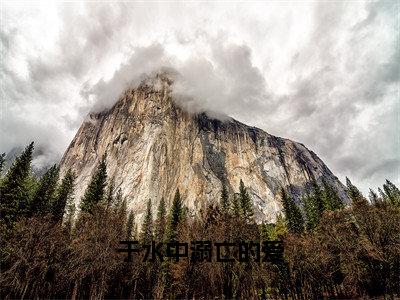 林蔚雨顾宴年（于水中溺亡的爱）的小说完整版免费阅读主角是（林蔚雨顾宴年）于水中溺亡的爱无弹窗免费阅读