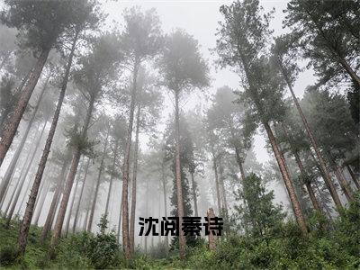 秦诗沈阅（沈阅秦诗）完整全文在线阅读_沈阅秦诗小说全章节目录阅读（秦诗沈阅）