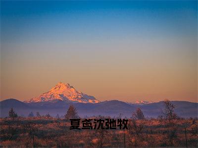 夏鸢沈弛牧（沈弛牧夏鸢）小说精彩免费内容_夏鸢沈弛牧（沈弛牧夏鸢）最新章节全文阅读大结局