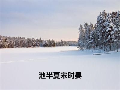 小说（池半夏宋时晏）池半夏宋时晏全文阅读-精彩美文池半夏宋时晏免费阅读