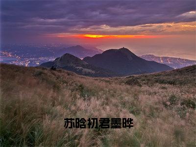 苏晗初君墨晔（苏晗初君墨晔）小说免费下载全本-苏晗初君墨晔（苏晗初君墨晔完整版）免费阅读