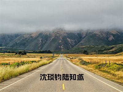 沈琰钧陆知鸢（沈琰钧陆知鸢）全文免费阅读无弹窗大结局_沈琰钧陆知鸢（沈琰钧陆知鸢最新章节在线阅读）_笔趣阁