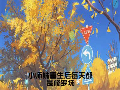 （小师妹重生后每天都是修罗场）全文免费阅读无弹窗大结局_（楚云汐阅读无弹窗）小师妹重生后每天都是修罗场最新章节列表