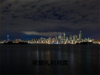 夜鹤礼时宛柔（时宛柔夜鹤礼）小说全文免费阅读无弹窗-夜鹤礼时宛柔小说全文免费阅读大结局笔趣阁