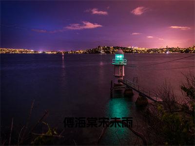 小说宋未雨傅海棠全文免费阅读无弹窗大结局-傅海棠宋未雨在线阅读