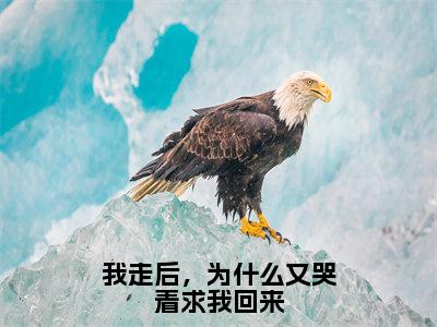 我走后，为什么又哭着求我回来（怜风叶秋）全文免费阅读无弹窗大结局_（怜风叶秋）全文最新章节列表