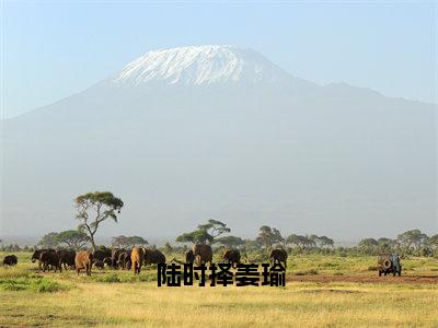 陆时择姜瑜小说（姜瑜陆时择）小说全文无删减版在线阅读_姜瑜陆时择小说最新章节列表