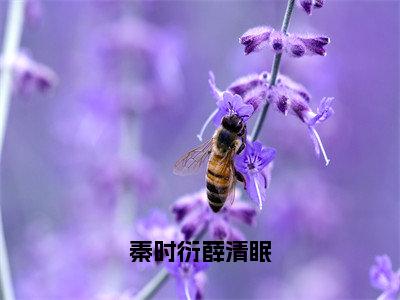 秦时衍薛清眠在线阅读（薛清眠秦时衍）全文免费阅读无弹窗大结局_薛清眠秦时衍最新章节列表笔趣阁（秦时衍薛清眠）