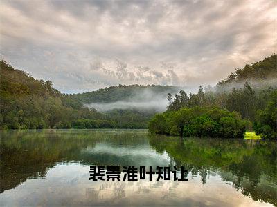 叶知让裴景淮（裴景淮叶知让）最新章节在线阅读抖音新书热荐裴景淮叶知让