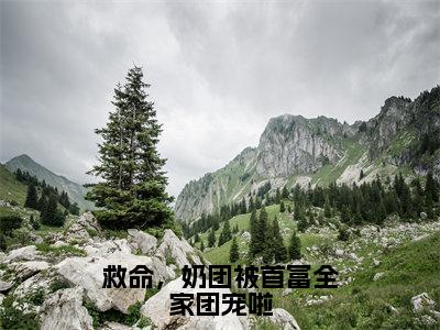 救命，奶团被首富全家团宠啦（江雨鸢）全文免费阅读无弹窗大结局_（江雨鸢）全文阅读_笔趣阁（救命，奶团被首富全家团宠啦）