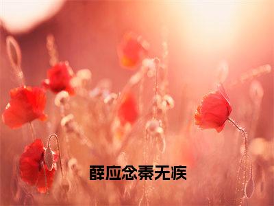 （全文）+（后续）（薛应念秦无疾）薛应念秦无疾老书虫推荐小说热文-薛应念秦无疾最新更新免费阅读