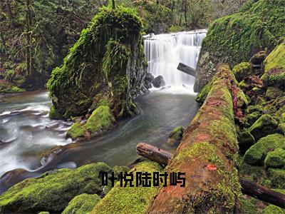 叶悦陆时屿（叶悦陆时屿）最新小说全文阅读-热点小说叶悦陆时屿（叶悦陆时屿）最新章节免费阅读