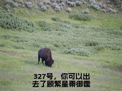 327号，你可以出去了顾繁星秦御霆（顾繁星秦御霆）全文免费阅读无弹窗_顾繁星秦御霆最新小说_笔趣阁