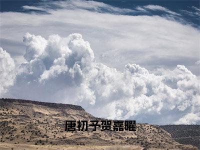 唐初予贺嘉曜精彩小说（唐初予贺嘉曜）在哪免费看-小说（唐初予贺嘉曜）全文完整版免费阅读