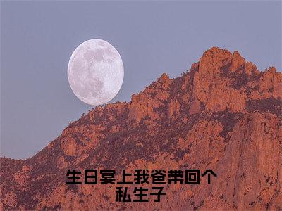 生日宴上我爸带回个私生子（顾永澜）全文免费阅读-（顾永澜无弹窗阅读）最新章节小说免费阅读