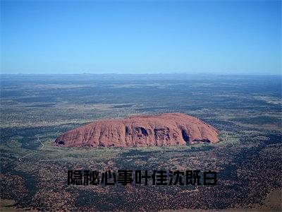 叶佳沈既白（隐秘心事叶佳沈既白）全文免费阅读无弹窗大结局_隐秘心事叶佳沈既白全文在线阅读