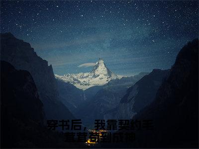 穿书后，我靠契约毛茸茸苟到成神全文（时鸢）全文免费阅读无弹窗大结局_时鸢全文免费阅读最新章节列表