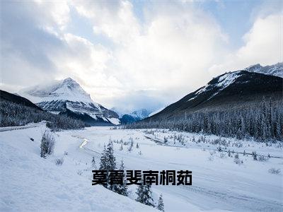 莫青斐南桐茹（南桐茹莫青斐精彩美文）免费阅读-小说南桐茹莫青斐最后结局如何