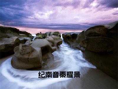 纪南音秦耀景（纪南音秦耀景）全文免费阅读无弹窗大结局_纪南音秦耀景最新章节列表