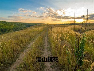 小说漫山桃花（程梨初虞宴允）全文免费阅读-最火热门小说漫山桃花最新章节更新