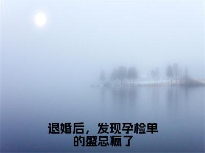 （盛晟和）是什么小说-（退婚后，发现孕检单的盛总疯了）无弹窗免费阅读大结局最新章节列表_笔趣阁