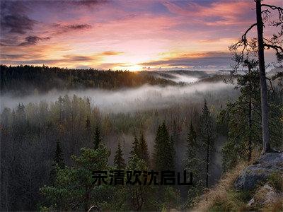 （宋清欢沈启山）最新免费小说大结局-小说宋清欢沈启山宋清欢沈启山全文免费在线阅读