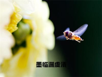 墨临渊虞清小说全文免费阅读无弹窗大结局_墨临渊虞清最新章节列表_笔趣阁